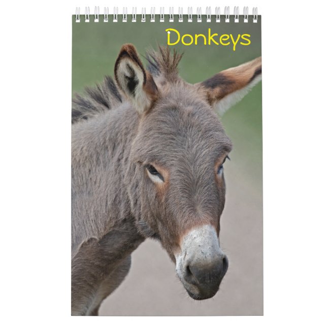 Calendario de burros (Tapa)