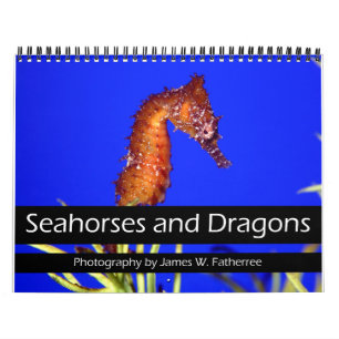 Calendario de caballitos de mar y dragones