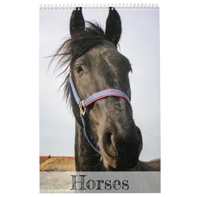 Calendario de caballos... (Tapa)