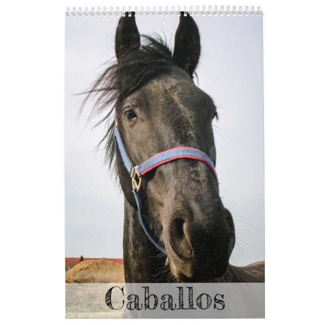 Calendario de caballos... (Tapa)