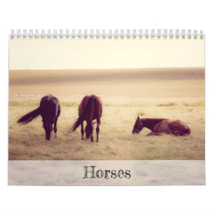 Calendario de caballos