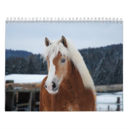 Calendario de caballos