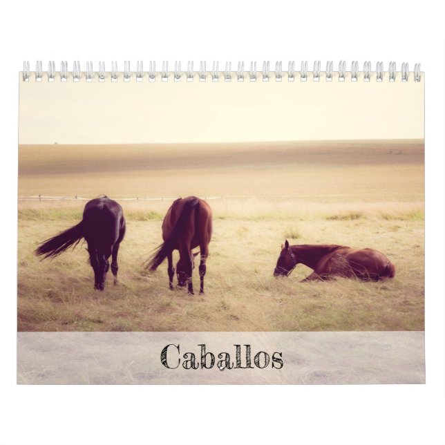Calendario de caballos (Tapa)