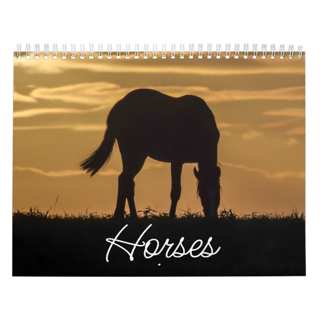 Calendario de caballos (Tapa)