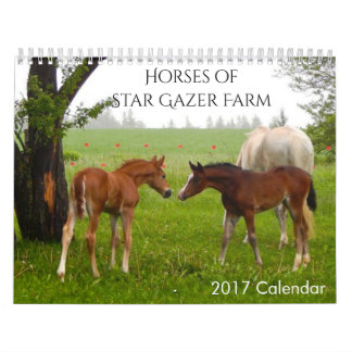 Calendario de caballos 2017