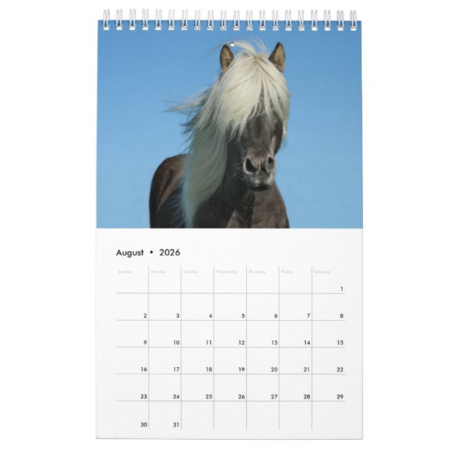 Calendario de caballos de 2017 (Aug 2026)