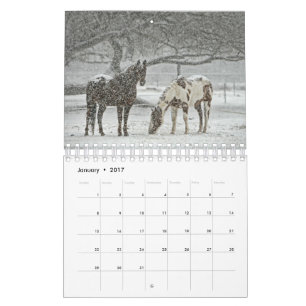Calendario de caballos de 2017