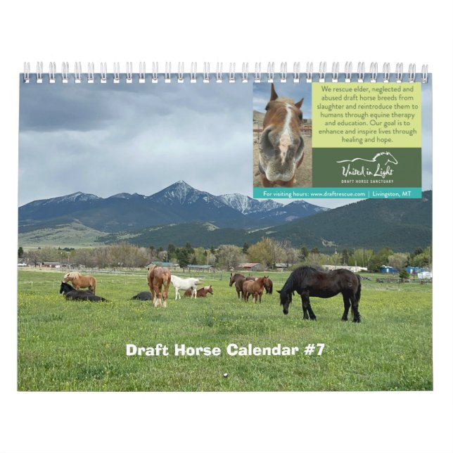 Calendario de caballos de Borrador (Tapa)