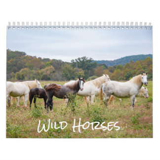 Calendario de caballos salvajes