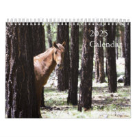 Calendario De Caballos Salvajes 2025 Para Apoyar F