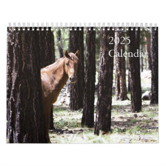 Calendario De Caballos Salvajes 2025 Para Apoyar F