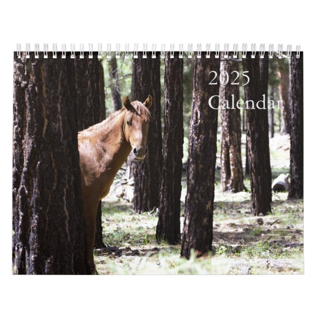Calendario De Caballos Salvajes 2025 Para Apoyar F (Tapa)