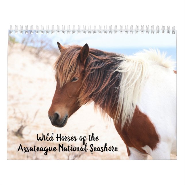 Calendario de caballos salvajes de clase Assateagu (Tapa)