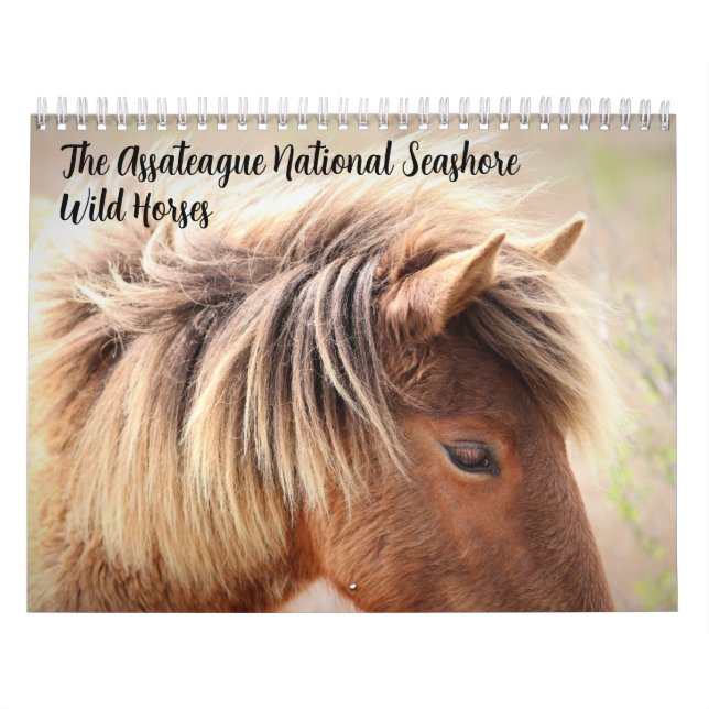 Calendario de caballos salvajes de clase Assateagu (Tapa)