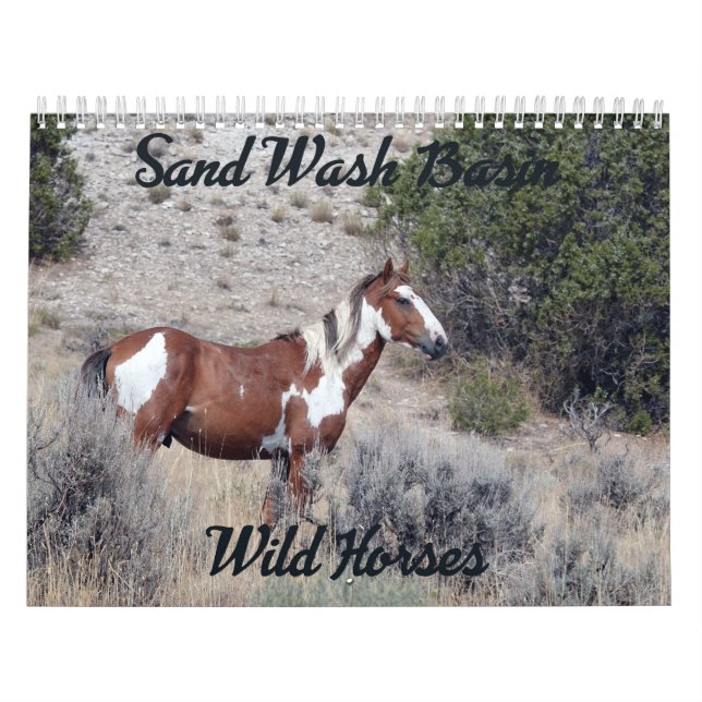 Calendario de Caballos Salvajes de la Cuenca del L (Tapa)