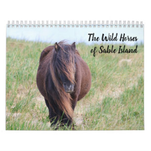 Calendario de Caballos Salvajes de la Isla de Sabl