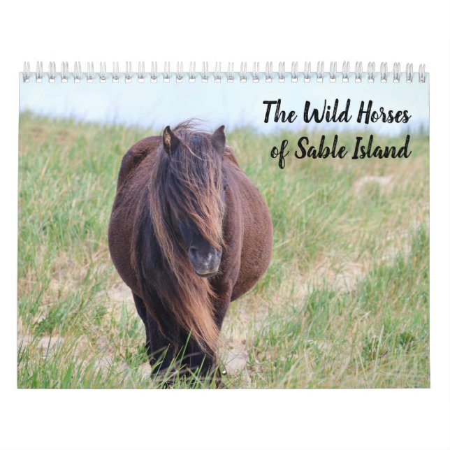 Calendario de Caballos Salvajes de la Isla de Sabl (Tapa)