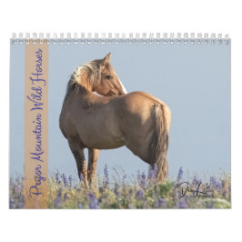 Calendario de Caballos Salvajes de la Montaña Pryo
