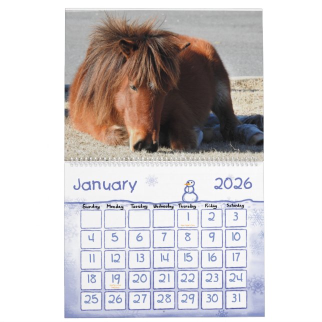 Calendario de caballos salvajes, Isla de Assateagu (Jan 2026)