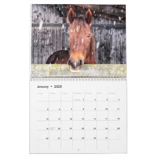 Calendario de caballos y burros 2025