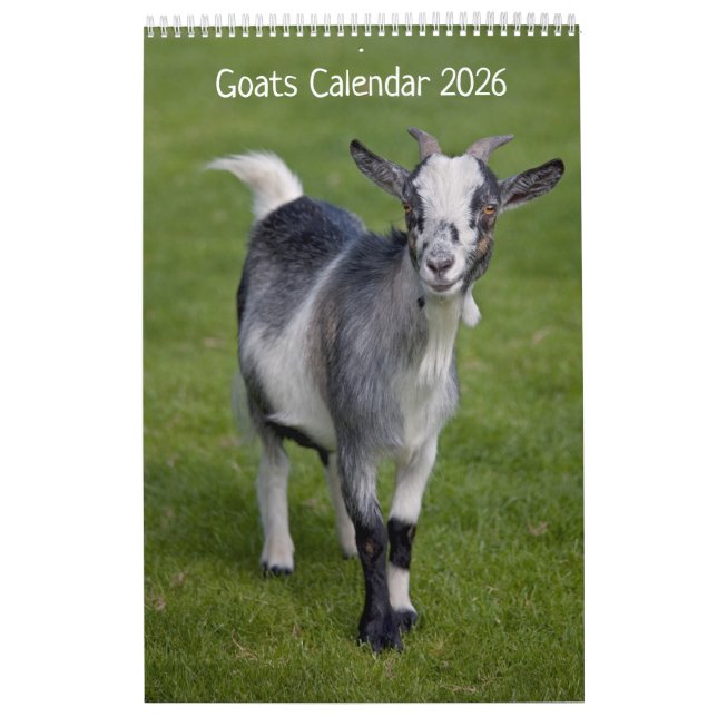 Calendario de cabras (Tapa)