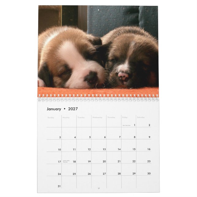 Calendario de cachorros (Jan 2027)
