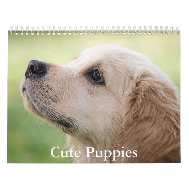 Calendario de Cachorros Adorables (Tapa)