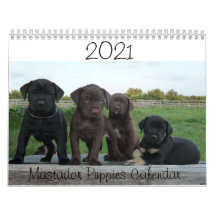 Calendario de cachorros de 2021