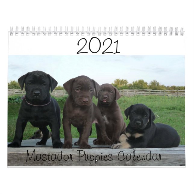Calendario de cachorros de 2021 (Tapa)