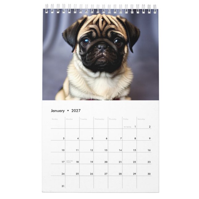 Calendario de cachorros de 2025 (Jan 2027)