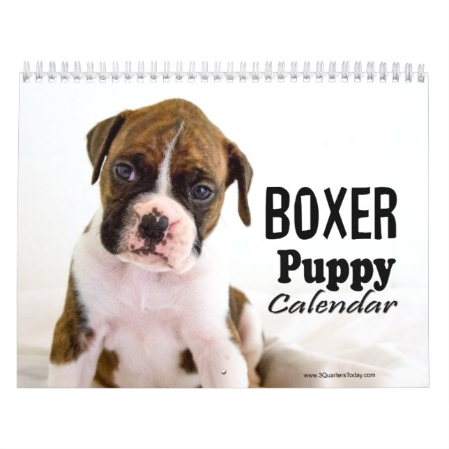 Calendario de cachorros de boxeador (Tapa)
