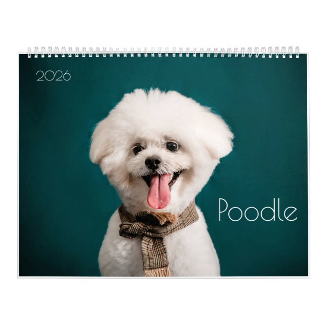 Calendario de cachorros de caniche de canapé 2024 (Tapa)