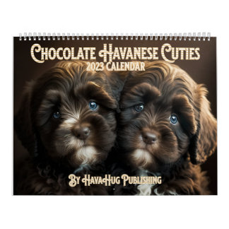 Calendario De Cachorros De Chocolate Havanés 2023 