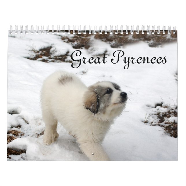 Calendario de cachorros de Grandes Pirineos (Tapa)