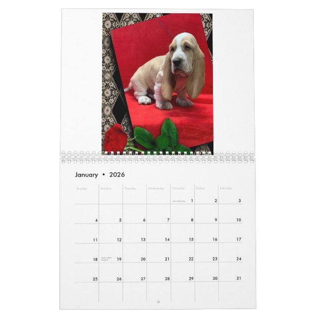 Calendario de cachorros de hound (Jan 2026)
