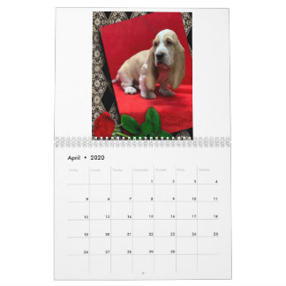 Calendario de cachorros de hound