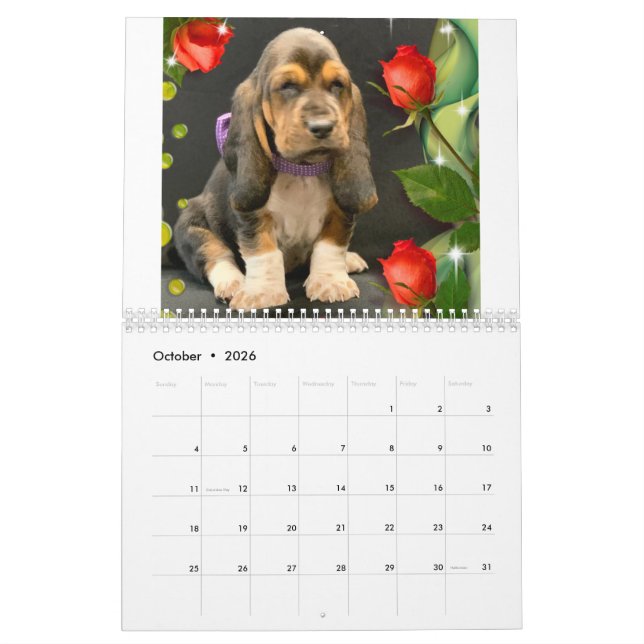 Calendario de cachorros de hound (Oct 2026)