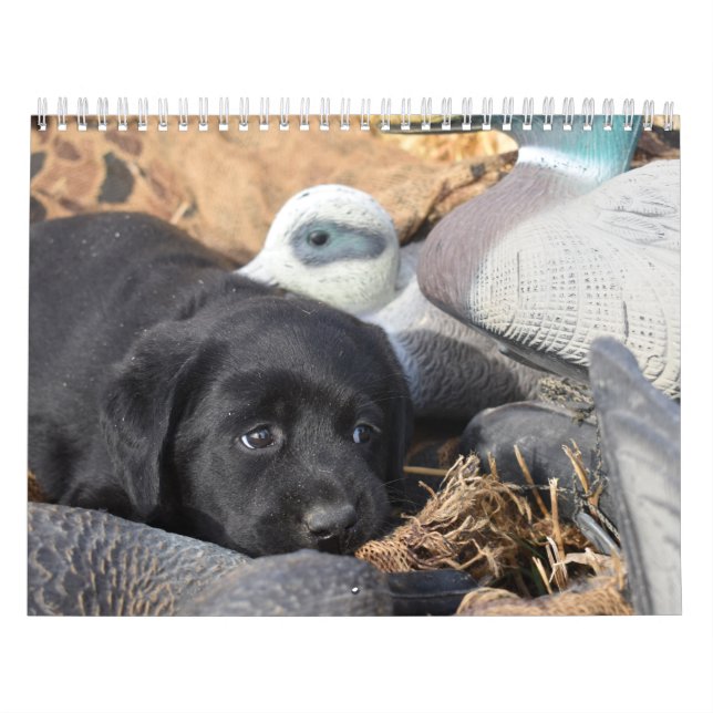 Calendario de cachorros de Labrador Retriever (Tapa)