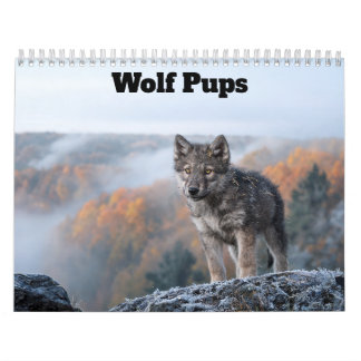 Calendario de Cachorros de Lobo 2027