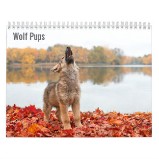Calendario de Cachorros de Lobo 2027
