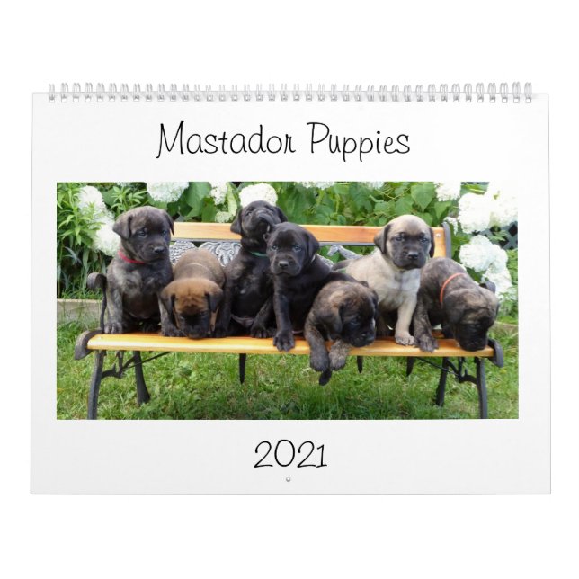 Calendario de cachorros de Mastador (Tapa)