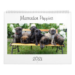Calendario de cachorros de Mastador