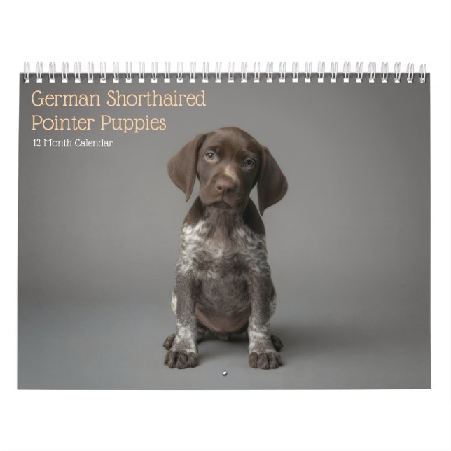 Calendario de Cachorros de Pointer Alemán de Pelo  (Tapa)