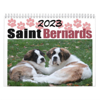 Calendario de cachorros de raza San Bernardo Adora