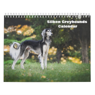 Calendario de Cachorros Galgos Sedosos 2027