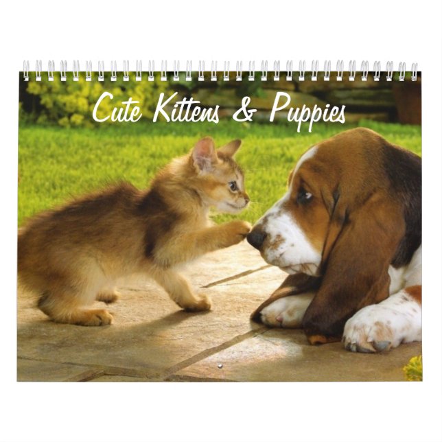 Calendario de cachorros y gatitos (Tapa)