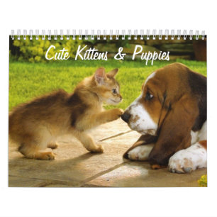 Calendario de cachorros y gatitos
