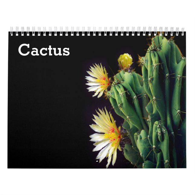 Calendario de Cactus 2027 (Tapa)