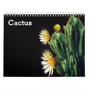 Calendario de Cactus 2027