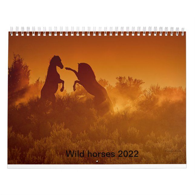 calendario de calandres de mustang salvajes 2020 (Tapa)